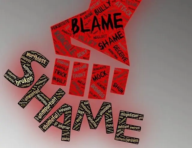 Word cloud depicting shame and blame.